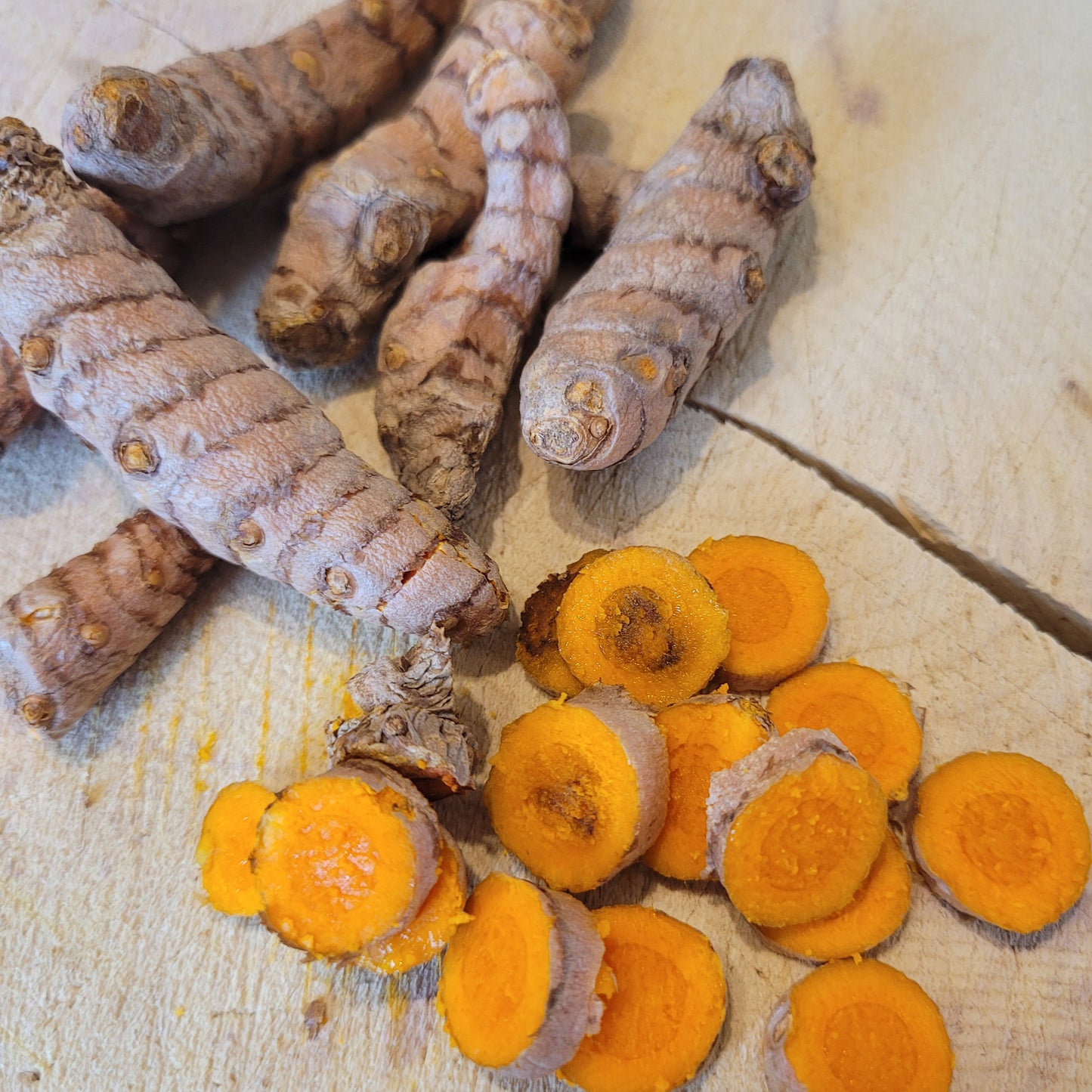 Curcuma - POUDRE - (Curcuma longa) 50 gr.