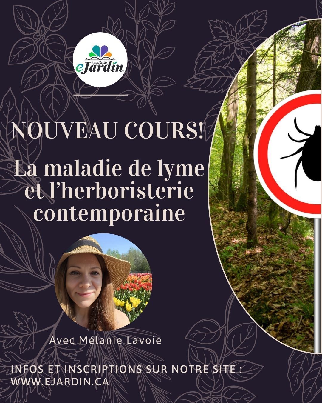 Cours Maladie de Lyme & Herboristerie contemporaine