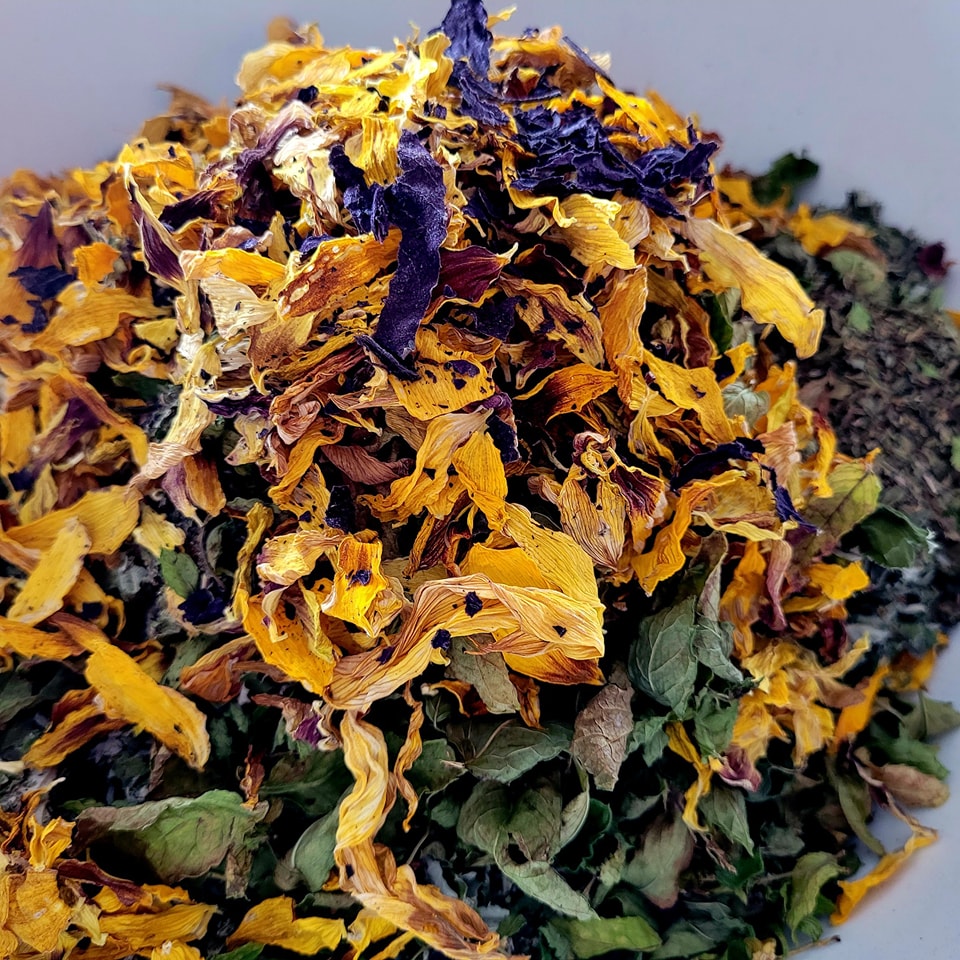 Tisanes de la Prêle