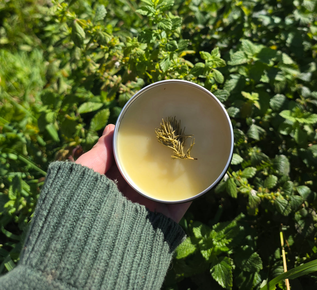 Winter Balm