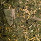 Cold herbal tea, 30 gr.