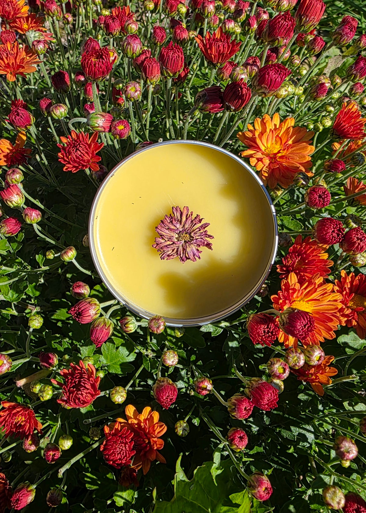 Damsel Balm