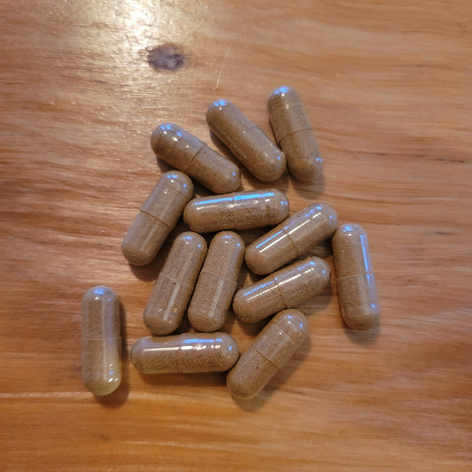 Japanese Knotweed Powder - Roots - Capsules +- 400 mg. (Polygonum cuspidatum)